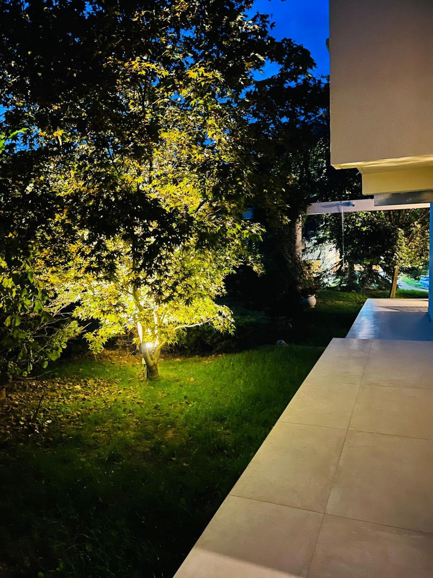 Evie'S Tree House Βίλα Dragomirna Εξωτερικό φωτογραφία